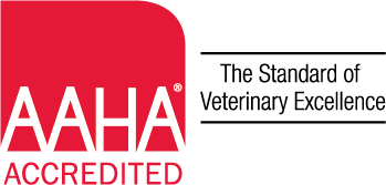 What Does AAHA Accreditation Mean for <span class='nowrap'>Your Pet?</span>