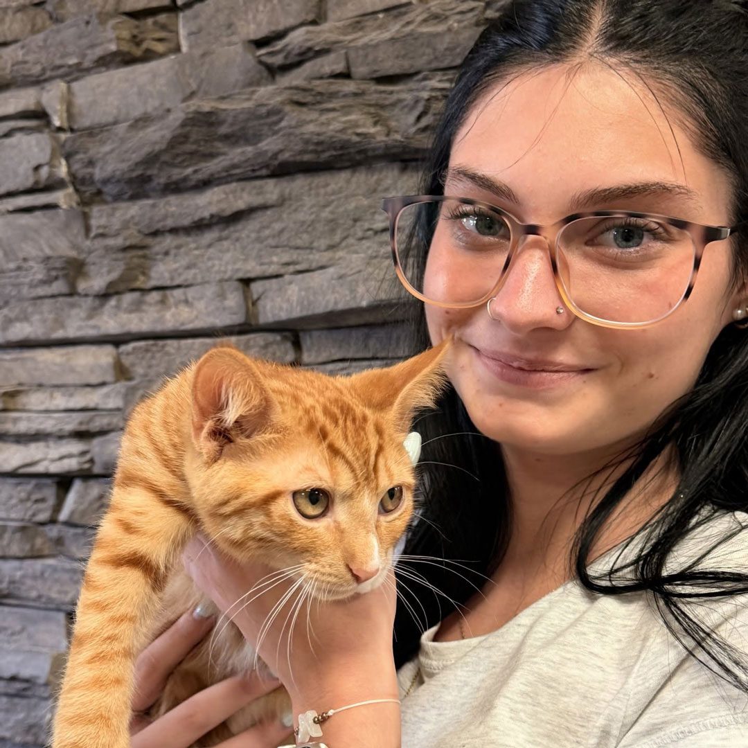young woman holding an orange cat