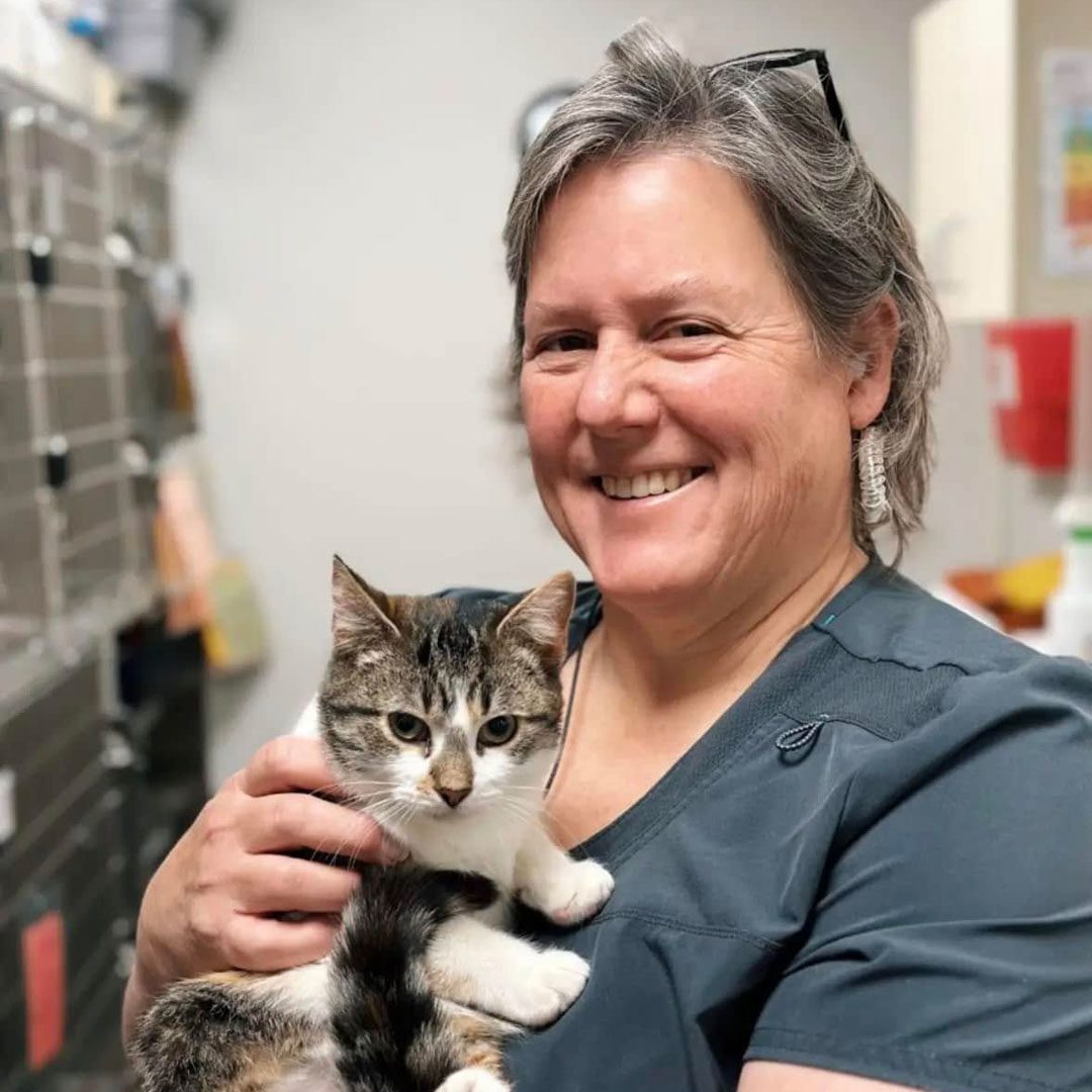 smiling woman holding a cute brown and white cat